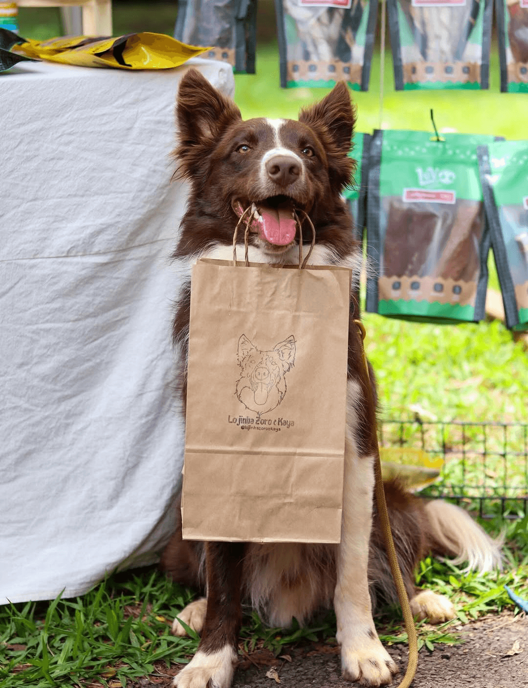 Atendimento local em Campo Grande/MS — Zoro e Kaya entrega de segunda a sábado