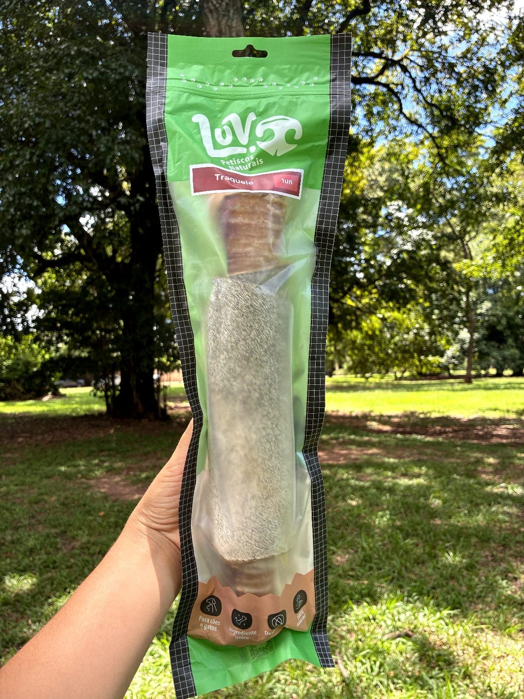 Mordedor de algodão orgânico trançado para higiene bucal e diversão do cão